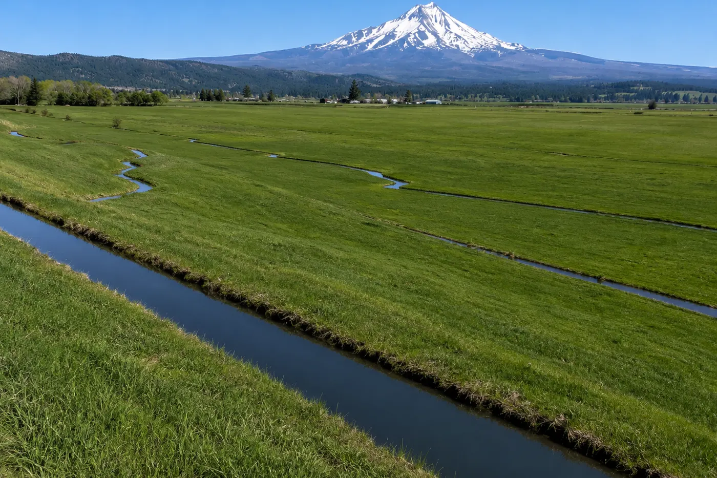 Flood irrigation ditches carrying water across a green Southern Oregon field