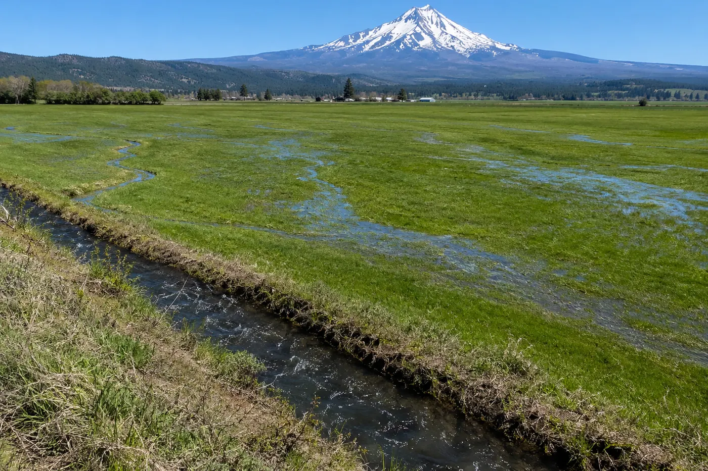 Maintained irrigation ditch feeding water through a rural pasture